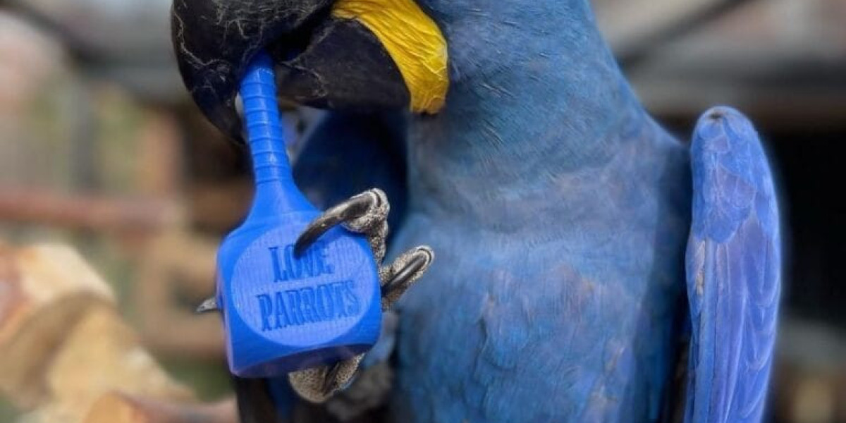 You'll Be Unable To Guess Mindy Catalina Macaw's Benefits